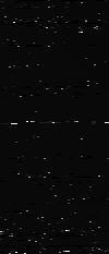 MTVZA-16.png